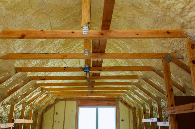 Building Insulation Service in Killeen, TX