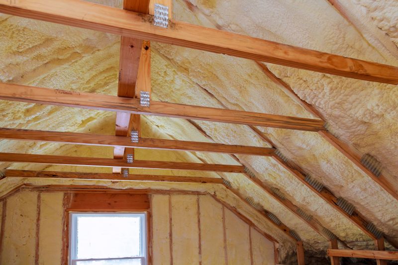 Rafter Insulation Installation in Georgetown, TX